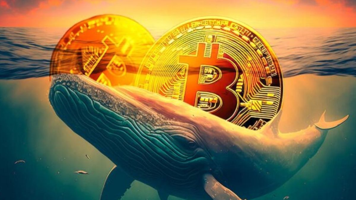 Bullish atau Bearish? Prediksi Bitcoin Agustus 2025
