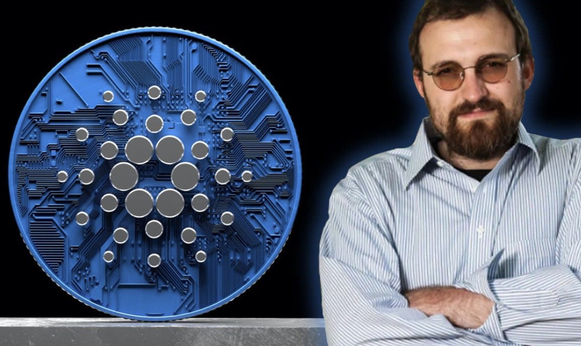 Cardano Luncurkan Airdrop Midnight, Masa Depan Proyek Terbuka